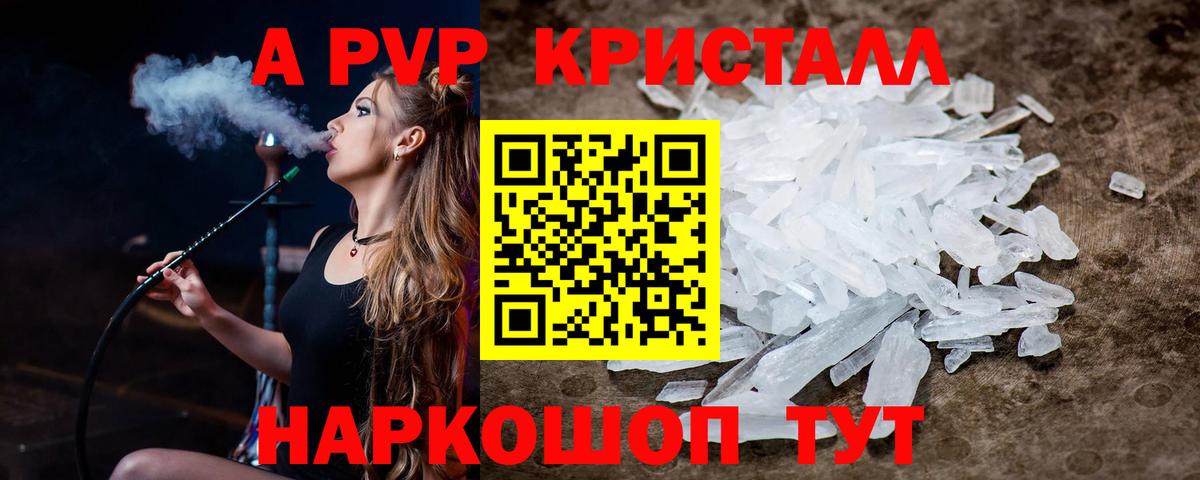 Альфа ПВП СК Гатчина