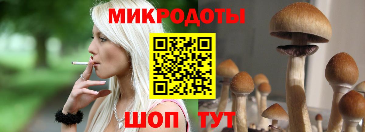 Гатчина  Псилоцибиновые грибы MAGIC MUSHROOMS  Вход с VPN 